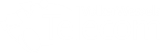 VolkerWessels Telecom Logo